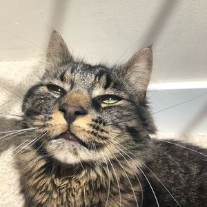 Meet your Posher, Lily